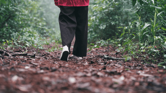 雨でもアクティブ！アウトドア別レインウェアの使い分けガイド - BENQUE-store